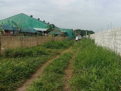 Residential or Farm lot for sale in Mabalacat City - P15M