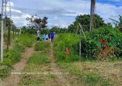 Residential Farm Lot for Sale Tagaytay City
