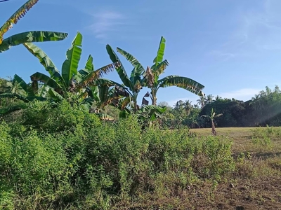 COMMERCIAL LOT FOR SALE in Camotes Island
