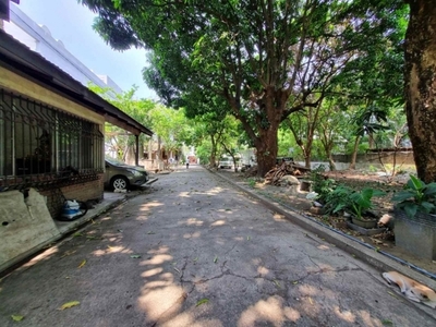 Lot For Sale In F.b Harisson, Pasay