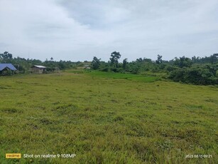 Lot For Sale In Baguhan, Inabanga