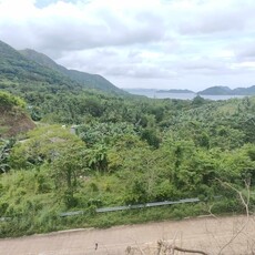 Lot For Sale In Decabobo, Coron