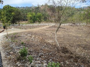 Lot For Sale In Lingating, Baungon