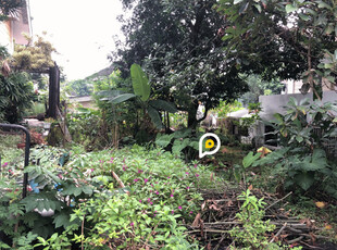 Lot For Sale In San Luis, Antipolo