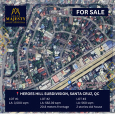Lot For Sale In Santa Cruz, Quezon City