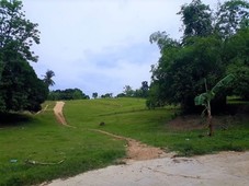 1.37 Hectare Clean-Titled Land for Sale in Barili Cebu at P5M