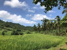 5 hectares Agricultural Land for sale in Leyte, Leyte