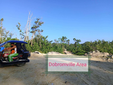 Lot For Sale In Alimanguan, San Vicente