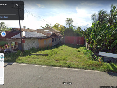 Lot For Sale In Balabagon, Moalboal