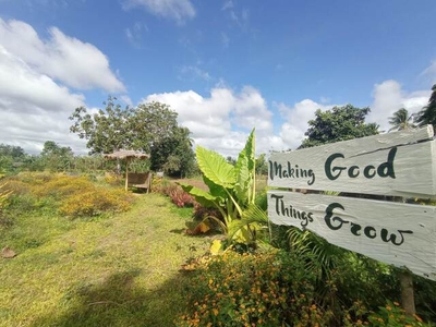 Lot For Sale In Banaba Cerca, Indang