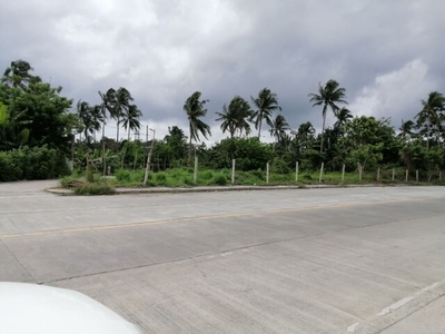 Lot For Rent In Tibig, Silang