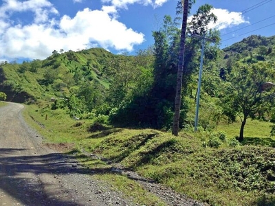 Lot For Sale In Lumbayao, Vallencia