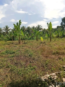 Lot For Sale In Manolo Fortich, Bukidnon