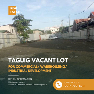 Lot For Sale In Wawa, Taguig