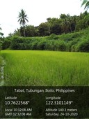 For Sale 1.5 Hectare Agricultural Land in Tubungan, Iloilo