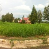 Vacant Lot in Lipa Royale Estate For Sale Philippines