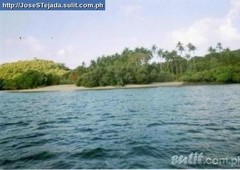 ISLAND FOR SALE IN PALAWAN, PHL For Sale Philippines