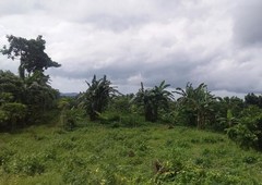 Land and Farm for sale in Tanauan