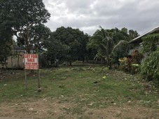 1,562 sqm AGRICULTURAL LOT FOR SALE