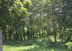 land and farm for sale in kidapawan