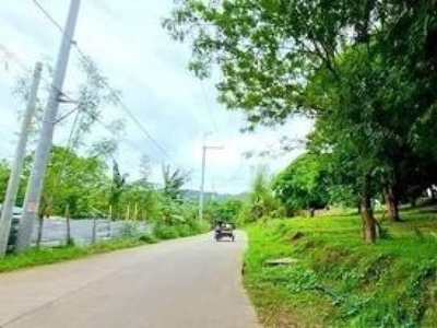 For Sale: 100 sqm Residential Lot in Iconeville, Brgy. Hulo, Pililla Rizal