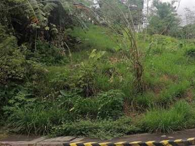 Lot For Sale In Dela Paz, Antipolo