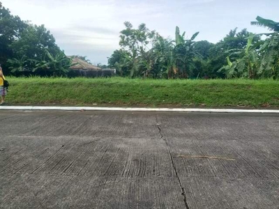 Lot For Sale In Holy Spirit, Quezon City