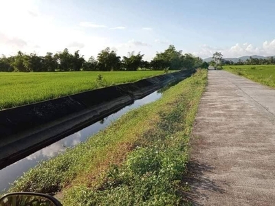 For Sale : Residential lot with improvement | Canaman, Camarines Sur