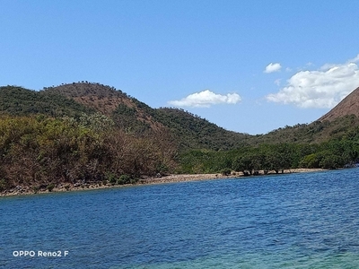 Lot For Sale In Buluang, Busuanga