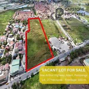 Lot For Sale In Paligui, Apalit