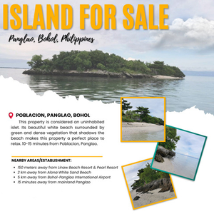 Lot For Sale In Poblacion, Panglao