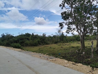 Lot For Sale In Tangnan, Panglao