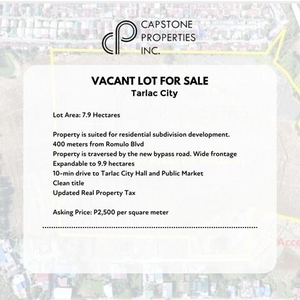 Lot For Sale In Tibag, Tarlac