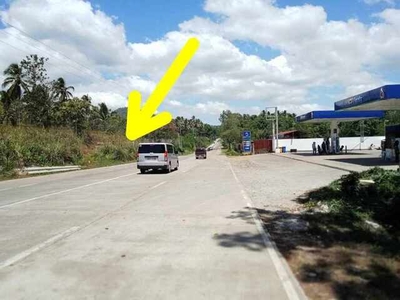Lot For Sale In Tikwas, Dumalinao