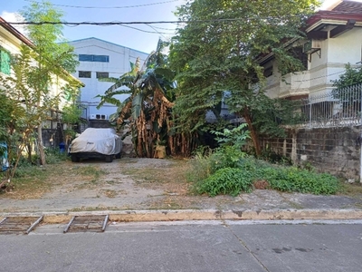 Lot For Sale In Ugong, Pasig