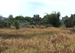 Farm lot near Manila East Road, Binangonan Municipal Hal, Gaisano Capital Binangonan and Child Jesus of Prague School