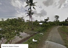 Farmland Ideal for Fruit bearing trees, vegetables, poultry or swine farming located in Sta. Fe Leyte Province