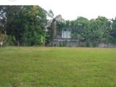 Lot For Sale In Ayala Alabang, Muntinlupa