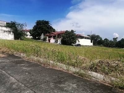 Lot For Sale In Bagong Silangan, Quezon City