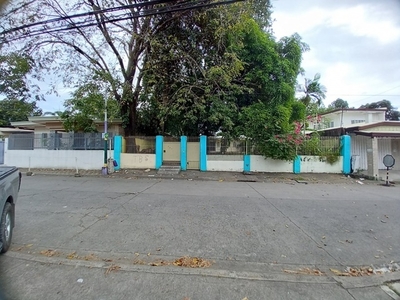 Lot For Sale In B.f. Homes, Paranaque