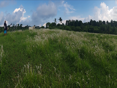 Lot For Sale In Calabuso North, Tagaytay