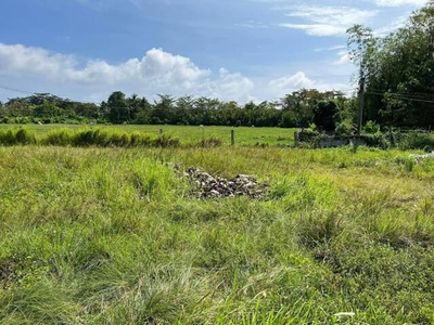 Lot For Sale In Mangnao-canal, Dumaguete