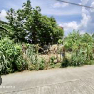 Lot For Sale In Mayapa, Calamba