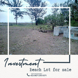 (Beach Property For Sale) in Candelaria Zambales 24818 sqm