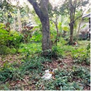 House and Lot for Sale with Commercial Space at Alfonso, Cavite