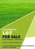 COMMERCIAL LOT FOR SALE 452sqm to 4,000sqm (along the Highway)