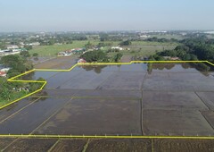 For Sale Agricultural lot in Plaridel, Bulacan (near Plaridel Bypass Road)