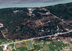 LAND/ LOT FOR SALE DAU DAUIS PANGLAO ISLAND BOHOL 7615 SQ.M