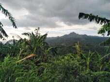 Overlooking Mt. Batulao Farm lot for Sale in Batangas