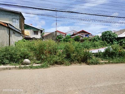 Lot For Sale In Airport Village, Catarman